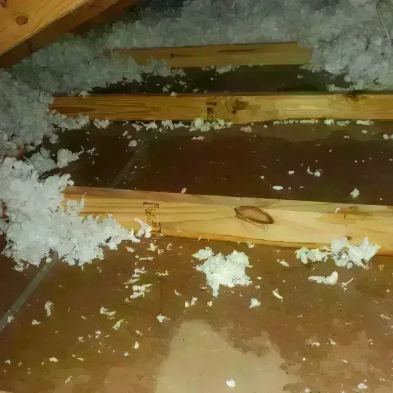 Attic Water Damage in Wakarusa, IN